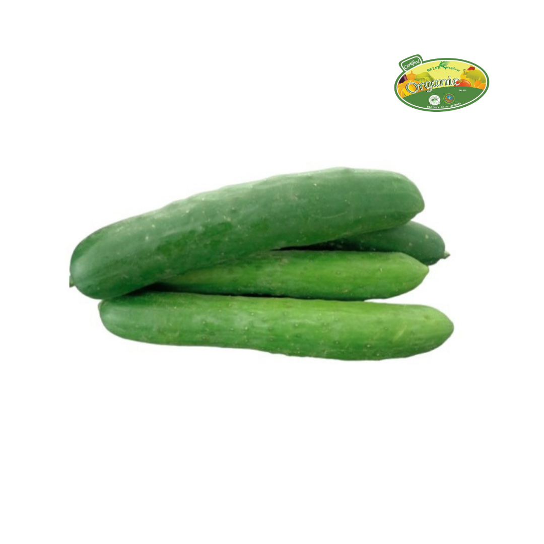 S&R Organic Tiny Cucumber approx 500g